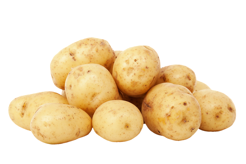 papas castro